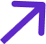 flesh icon